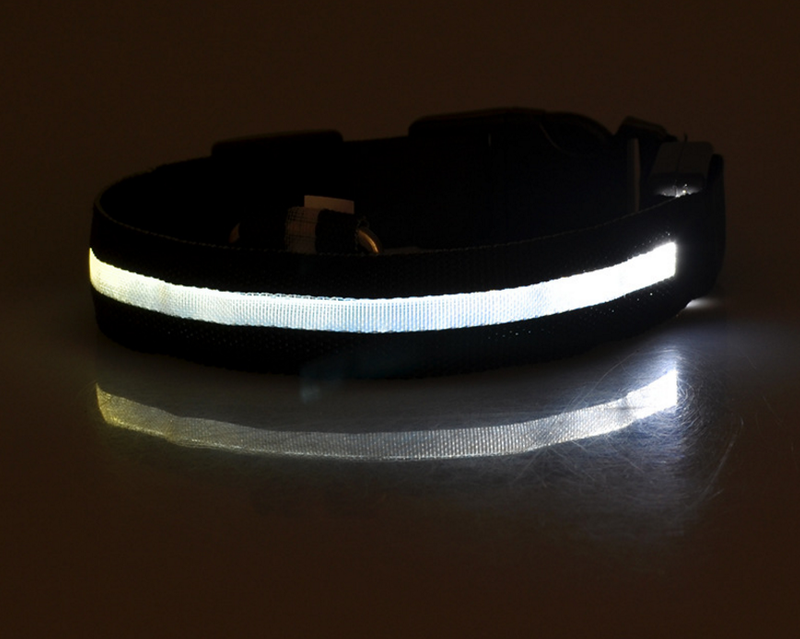 Nylon LED Pet Collar