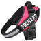 Personalize Dog Harness Dog Name