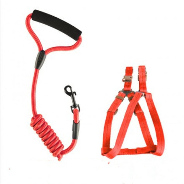 Dog Chain Strap Leash